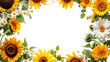 © Ball - frame of sunflowers