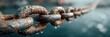 © Georg - Rusty chain links glisten with droplets beside calm water during early morning hours