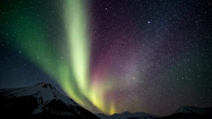 Wall Mural - Stunning time-lapse of northern lights swirling majestically amidst countless twinkling stars in a clear night sky countless twinkling stars, time-lapse, swirling majestically