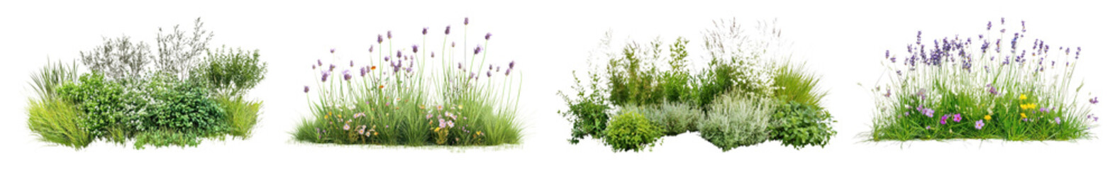 Wall Mural - PNG Lush floral garden arrangement beauty, element set on transparent background