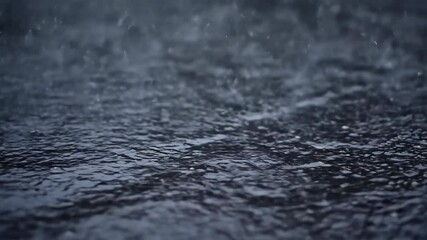 Wall Mural - Close-up of heavy raindrops splashing intensely onto a dark, wet asphalt surface during a downpour storm, impact, detail