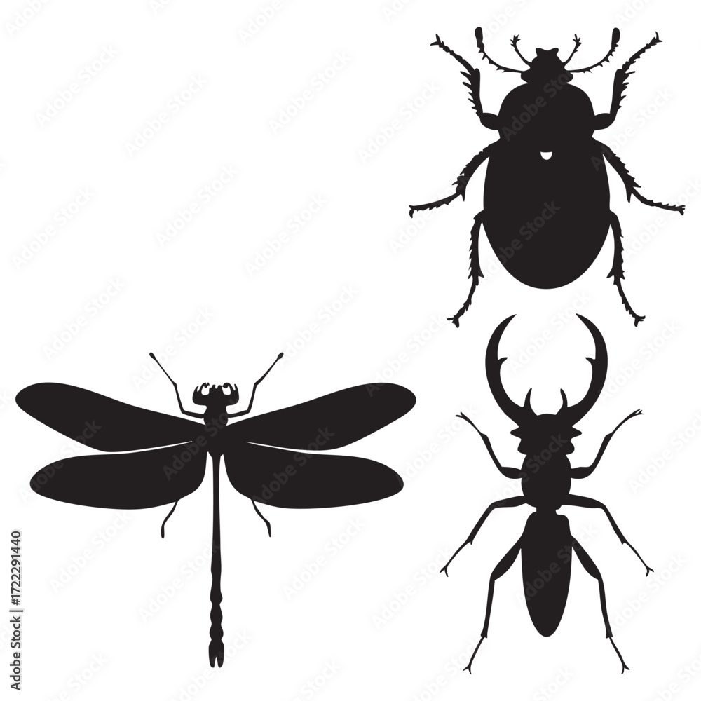Fly Insect Silouet Vector silhouette set of various insects and bugs like a beetle, fly ...