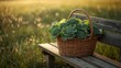© MstMita - fresh herbs in a basket