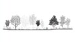 © tammarat - Architectural Drawings, Minimal style cad tree line drawing, Side view, set of section wetland forest outline for landscape design drawing Vector illustration in seperate element