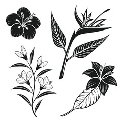 black and white silhouettes of flowers set