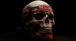 © SRI - Skull with bandana
