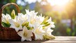 © kk - White lilies in a basket in sunlight