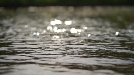 Wall Mural - Hypnotic close-up of sunlight creating sparkling glitter on a pond's gently rippling water surface, shallow depth of field shallow, nature, hypnotic