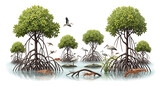 Mangrove ecosystem illustration with trees birds and crustaceans in a wetland environment scene ai generated