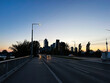Evening city skyline along a quiet road with streetlights and distant skyscrapers in Vienna, Austria.