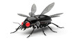 © wowo - Futuristic mechanical insect with wings against a clean white backdrop casting a subtle shadow
