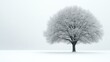© luck - Solitary winter tree stands majestically against a snowy backdrop