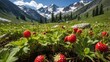 © Rahmi - Lush green meadow filled with vibrant strawberries, surrounded by majestic mountains under a clear sky