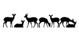 Silhouette of a group of deer isolated on white background in black color
