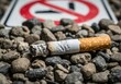 © nasima - Discarded cigarette butt rests on gravel with a blurred no smoking sign in the background