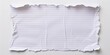© SARPIA - A torn piece of lined paper with irregular edges, showing creases and texture, lies on a plain white background