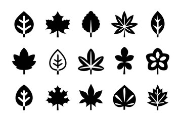 Collection of various leaf icons, representing different types of foliage and botanical elements in a simple and clean design