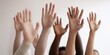 © chelmicky - Diverse group raising hands volunteering together participation
