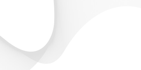 Wall Mural - elegant abstract background featuring subtle grey wavy lines and smooth curves on a clean white surf