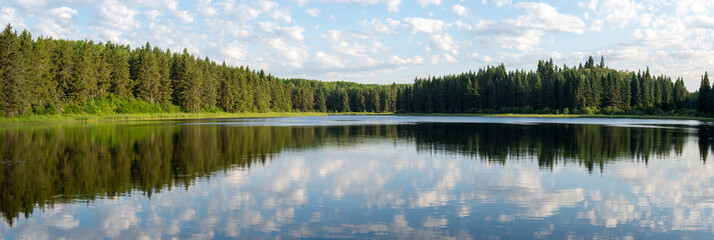 Wall Mural - Panorama of calm park northern lake reflecting a scenic forest view with sky full of fluffy clouds

