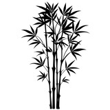 black bamboo isolated on white