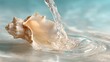 © dar - Seashell in water, flowing liquid
