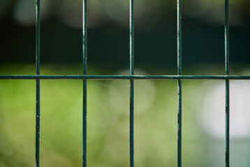 A close-up of a section of green metal mesh fence, with a blurred green background.