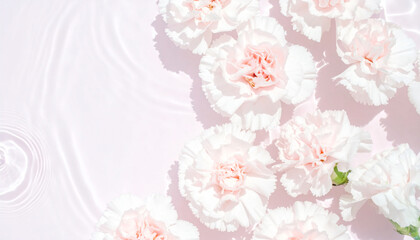 Gentle pink peonies and ranunculus in water with light reflections on pastel pink background. Beautiful backdrop for your design with copy space