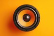 © Anin - Orange speaker cone on a bright orange background