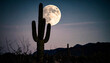 © Seckin Ozturk - Moonrise Over Desert Cactus . Nature Concept. Generated Image