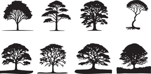 tree, silhouette, nature, plant, organic, growth, deciduous, evergreen, branches, leaves, trunk, roots, isolated, black and white, design element, graphic, illustration, art, simple, clean, vector, sh