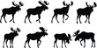 © Hello World - Moose silhouettes, antlered poses, wildlife interaction, standing stance, walking motion, combat behavior, vector animal set, black design