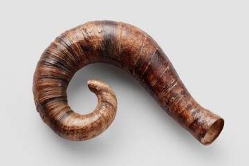Spiral horn object on plain background