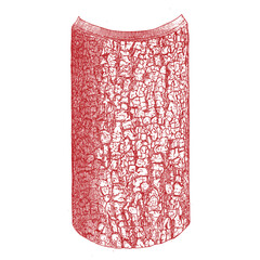 Hand drawing of a tree bark.