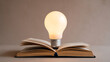 © zawak - Illuminated light bulb placed on an open book