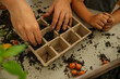 © Westend61 - Hand of son with mother filling soil in seedling tray