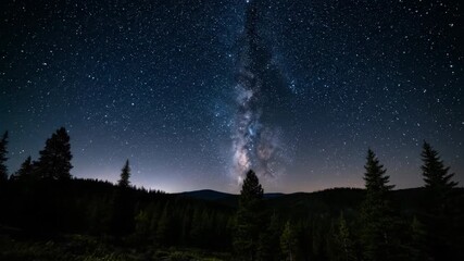 Wall Mural - The mesmerizing night sky rotates above a pristine wilderness, showcasing the stars' celestial journey nightscape, science, backdrop