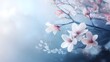 © Nur - Delicate blossoms in soft pastel tones create a serene and dreamy spring scene.
