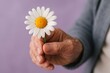 © Tanakorn - Gentle senior hand gracefully extends a vibrant white daisy against a soft lavender backdrop, symbolizing kindness, care, and peaceful appreciation