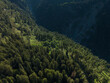 © AmazingAerialAgency - Aerial view of a dense forest blanketing the rugged terrain, where sunlight casts long shadows, creating a tapestry of light and dark, Sethan, Himachal Pradesh, India.