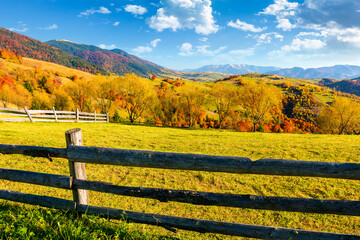Wall Mural - mountainous rural landscape of ukraine in autumn. field behind the wooden fence. sunny afternoon. transcarpathia scenery in fall season. forest on the hill. ridge in the distance
