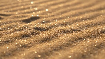 Wall Mural - Close-Up of Sun-Baked Sand Forming Intricate Patterns on the Ground beautiful, organic, heat