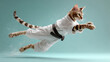 © Yung - Feline Martial Arts Master: A graceful cat in a pristine martial arts uniform, executes a dynamic mid-air kick against a serene backdrop. This image showcases the feline agility and focus.