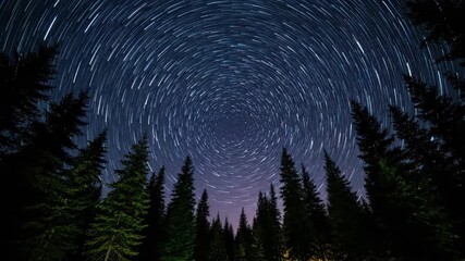 Wall Mural - Breathtaking star trail timelapse over a dark, tranquil forest, showing the celestial rotation above the peaceful trees astronomy, cosmos, stars