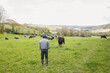 © wavebreak3 - Male farmer wearing baseball cap and rubber boots standing in green pasture facing herd of cattle
