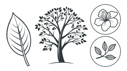Set of botanical vector illustrations featuring a detailed leaf stylized tree flower and leafy branch.
