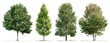 © Fahrun - Four different trees, isolated against a white background.  Full, healthy, vibrant green foliage, varied shapes and densities.  Distinct trunks and canopies,  ideal for graphic design or illustration