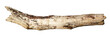 © Kornienko Alexandr - Weathered driftwood log cutout on transparent background