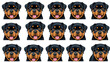 © Lisa - Rottweiler Collection Of Emotions