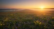 © SANDRA29 - Golden Sunrise Over Wildflower Meadow, Misty Hills, Serene Landscape.